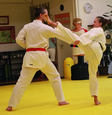 Zwei Erwachsene trainieren Taekwondo im PAGOJO
